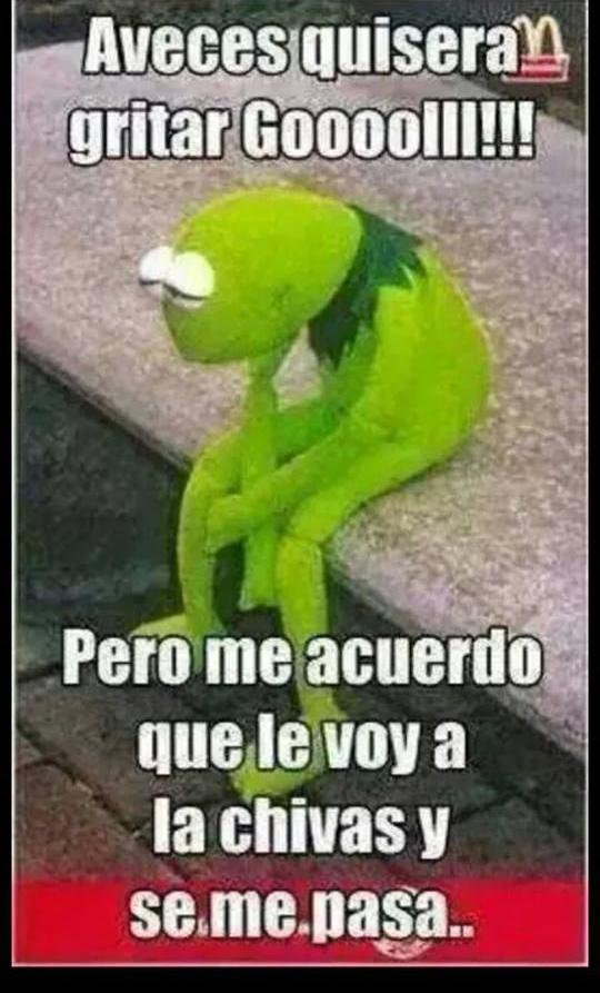 FOTO: ESPECIAL