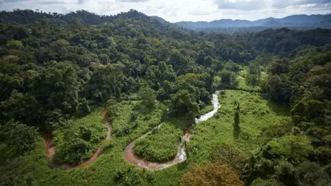 Descubren ciudad perdida en jungla de Honduras
