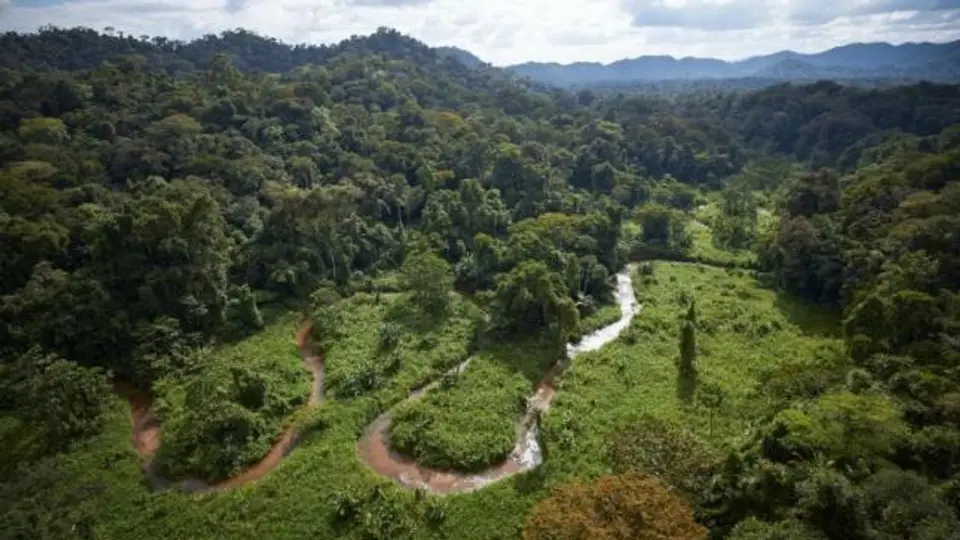 Descubren ciudad perdida en jungla de Honduras