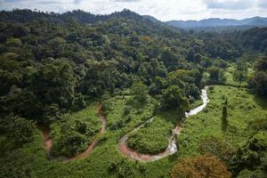 Descubren ciudad perdida en jungla de Honduras