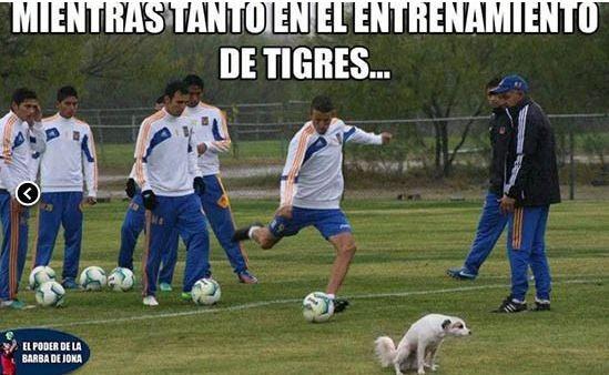 FOTO: ESPECIAL