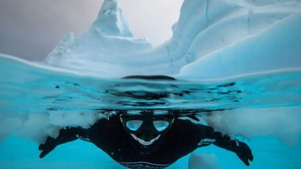 Conoce las imágenes más impactantes del buceo libre
