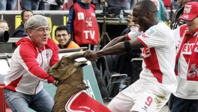 Jugador celebra con una cabra su gol en la Bundesliga