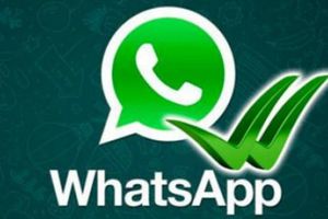 WhatsApp ya podrá utilizarse en PC