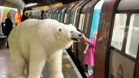 Oso polar pasea por las calles de Londres