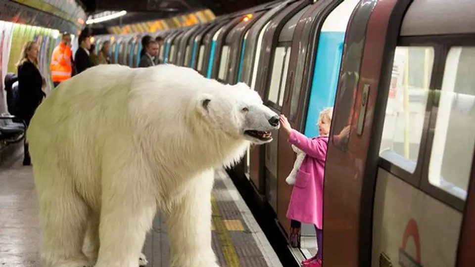 Oso polar pasea por las calles de Londres