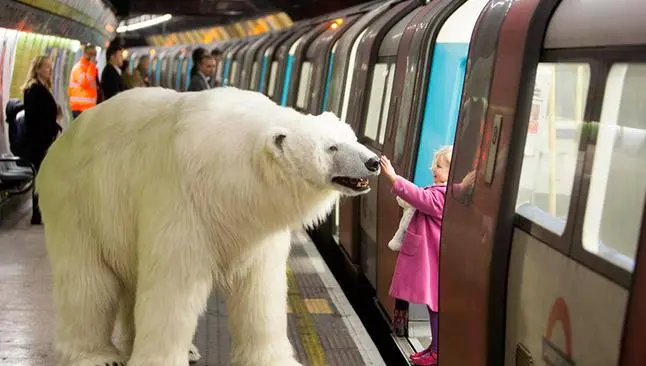 Oso polar pasea por las calles de Londres