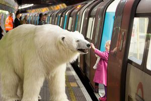 Oso polar pasea por las calles de Londres