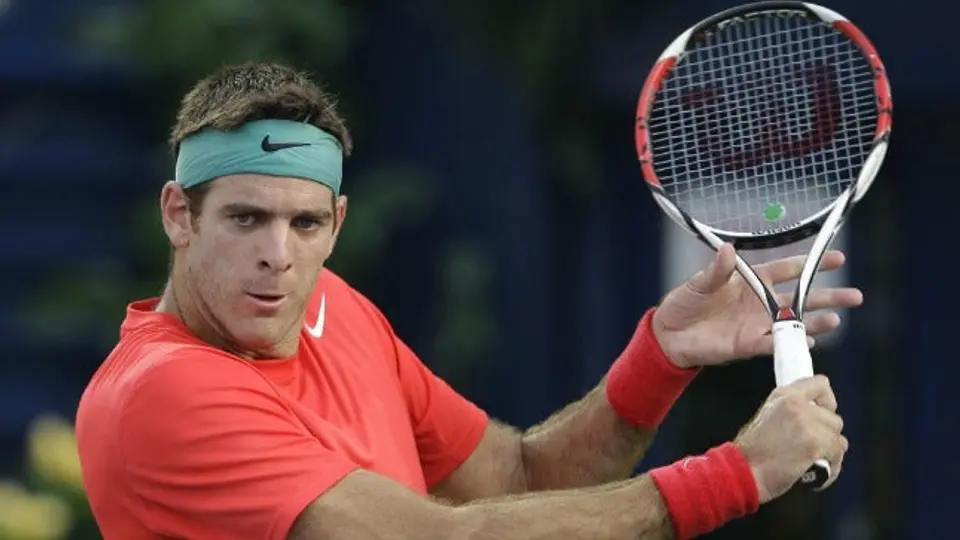 Del Potro y Cilic no acudirán al Abierto Mexicano de Tenis
