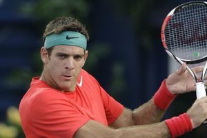 Del Potro y Cilic no acudirán al Abierto Mexicano de Tenis