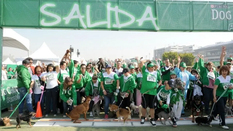 Dog Chow Perrotón va por Récord Guinness