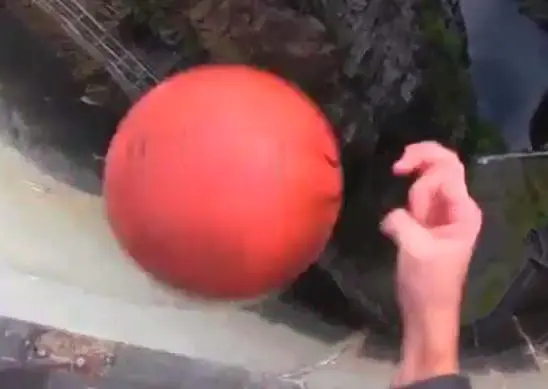 El efecto de un balón conmociona las redes sociales