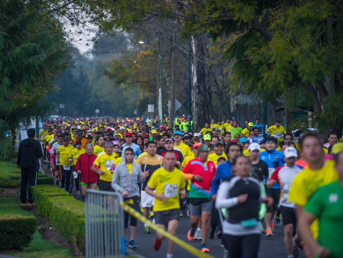 FOTO: CÉSAR VICUÑA