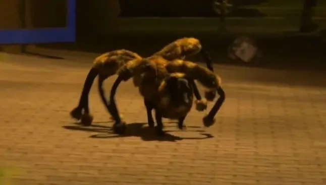 Top10 de los videos más populares de YouTube 2014