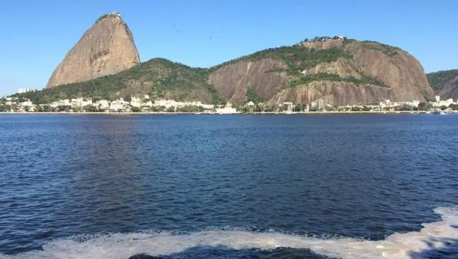 Universidades ayudarán en limpieza de bahía de cara a JO