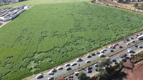 Descubren figuras extrañas en sembradío de Texcoco