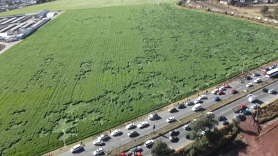 Descubren figuras extrañas en sembradío de Texcoco