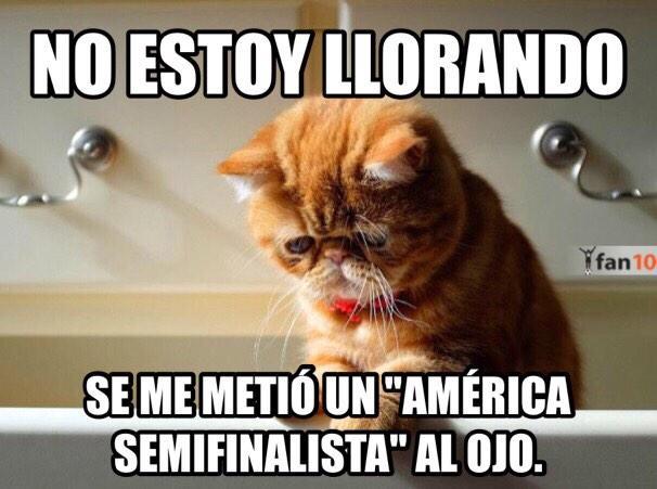FOTO: ESPECIAL