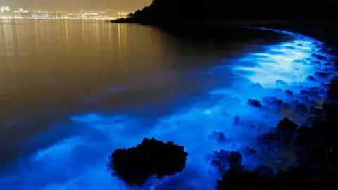Manchas tóxicas hacen brillar el mar de Hong Kong