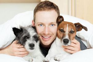 Usarán perros para detectar cáncer de próstata