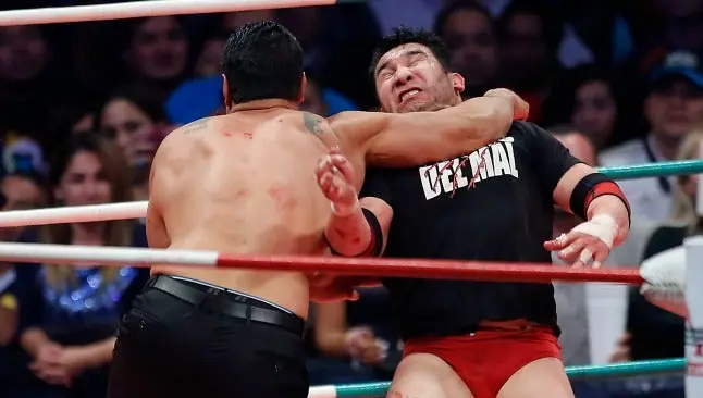 Senador propone iniciativa para proteger a luchadores