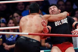 Senador propone iniciativa para proteger a luchadores