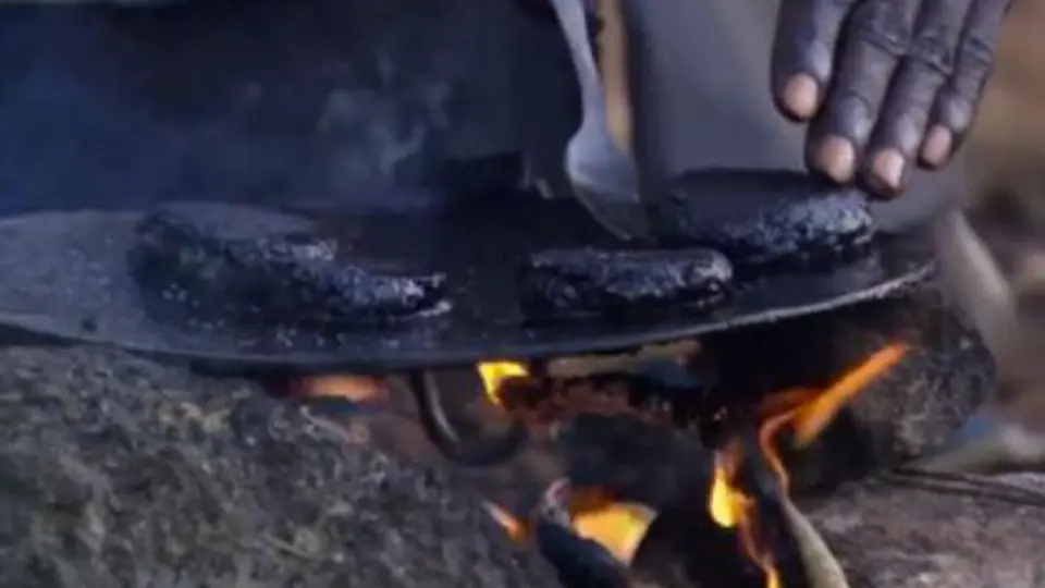 Crean hamburguesa hecha de moscas en África