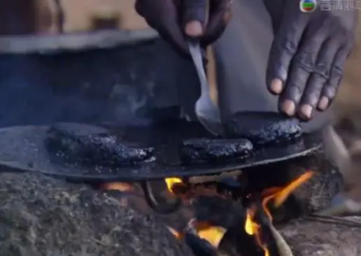Crean hamburguesa hecha de moscas en África