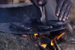 Crean hamburguesa hecha de moscas en África