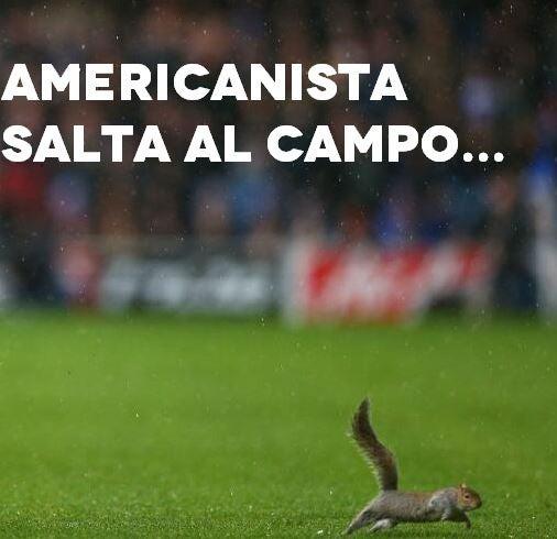 FOTO: ESPECIAL