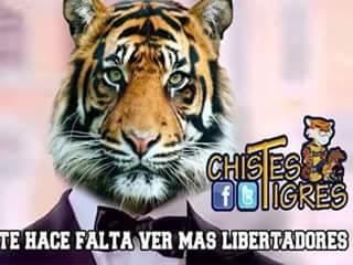 FOTO: ESPECIAL