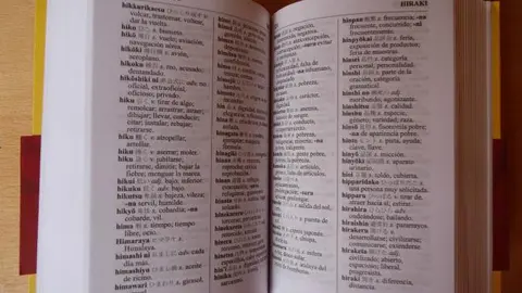 Diccionario británico añade las palabras chilaquiles, emoji y meme