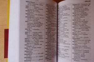 Diccionario británico añade las palabras chilaquiles, emoji y meme