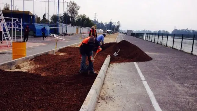 Inicia construcción de pista para corredores en Cuemanco