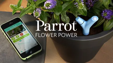 Crean maceta inteligente que cuida a las plantas
