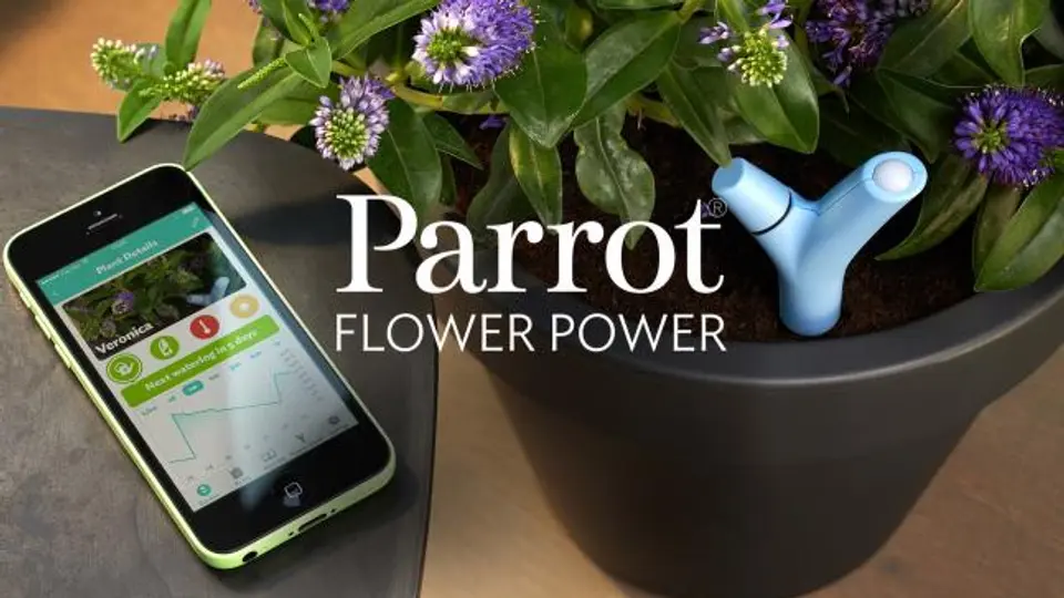 Crean maceta inteligente que cuida a las plantas