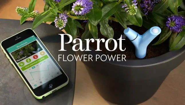 Crean maceta inteligente que cuida a las plantas