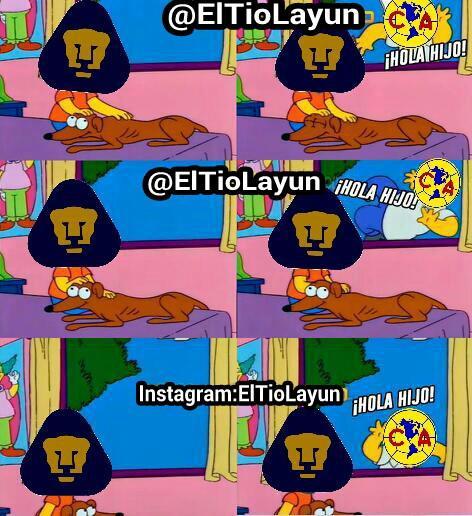 FOTO: ESPECIAL