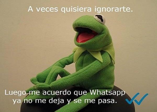 FOTO: ESPECIAL