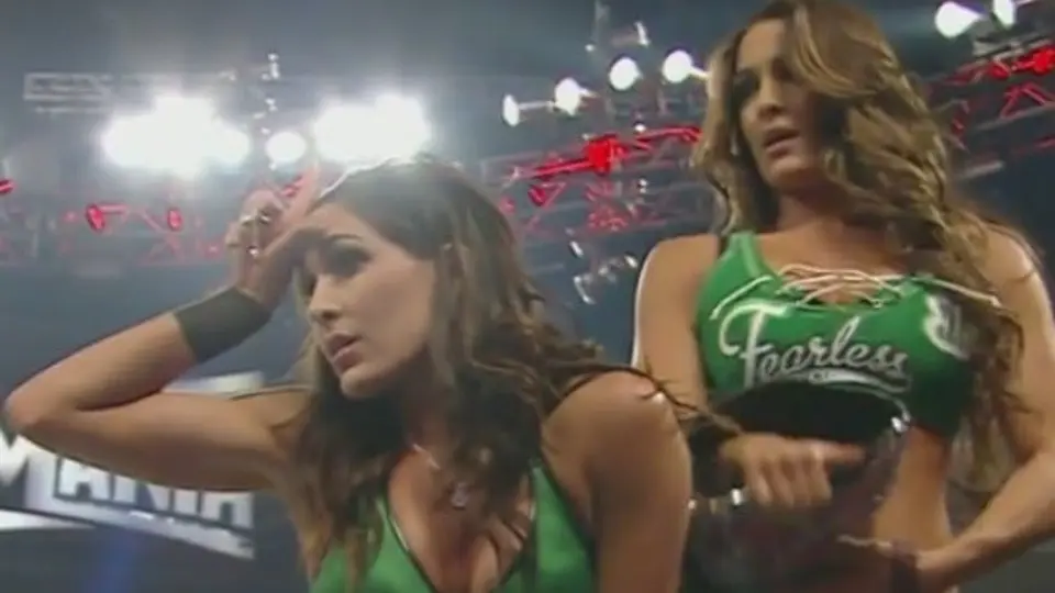 Gemelas Bella derrotan a Paige y Natalya