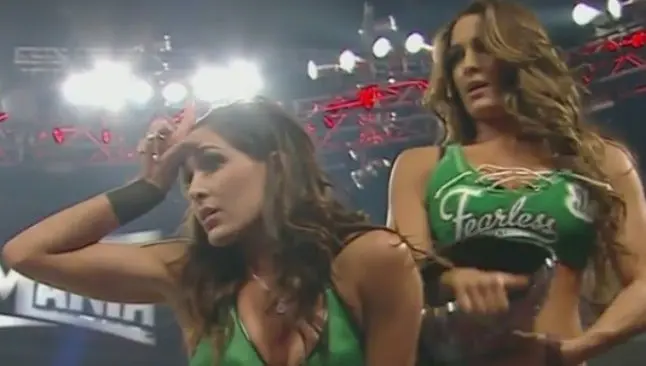 Gemelas Bella derrotan a Paige y Natalya