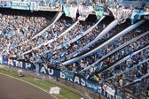 Barra de Gremio veta palabra 'mono' de sus cánticos