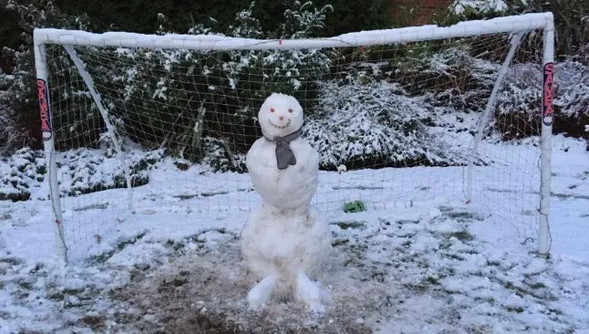 Van Persie se divierte con portero' de nieve