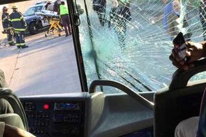 Autobuses de Pieles Rojas chocan entre sí