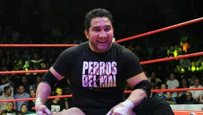 Luchadores que han perdido la vida en el ring