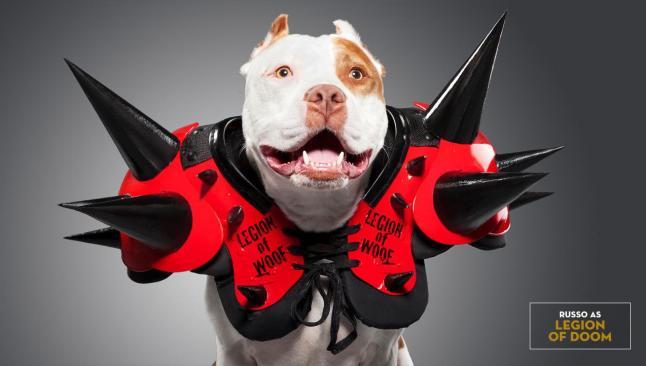 FOTO: WWE