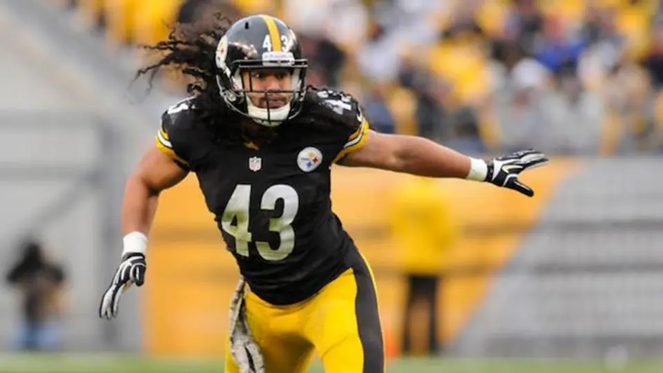 Polamalu anuncia su retiro de la NFL