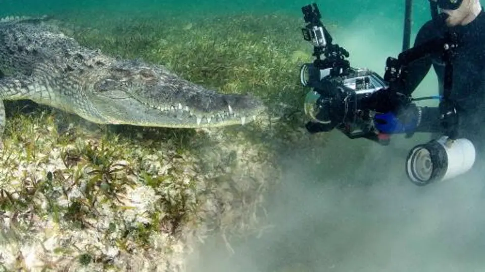 Ex soldado de EU bucea con cocodrilos en Quintana Roo