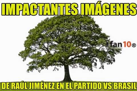 FOTO: ESPECIAL