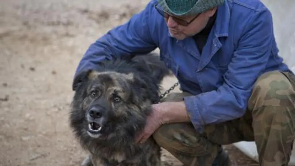 Tribunal en Croacia prohibe que un perro ladre